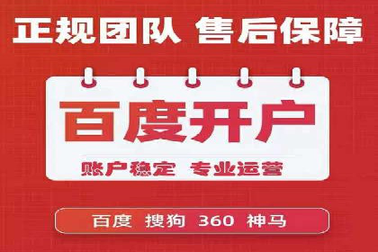 搜索引擎营销（SEM）服务案例分享